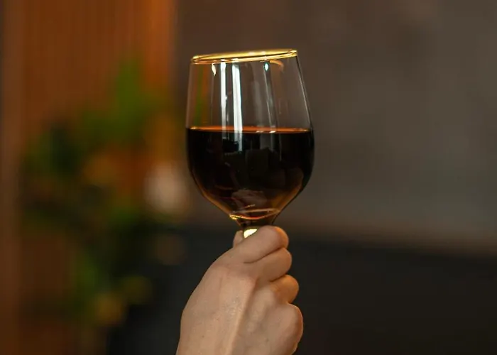 Montis Charming Retreat With View * Braşov